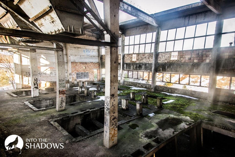 Abandoned dairy 'Sokol': 